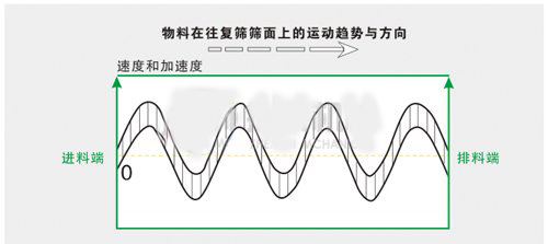 旋式运动
